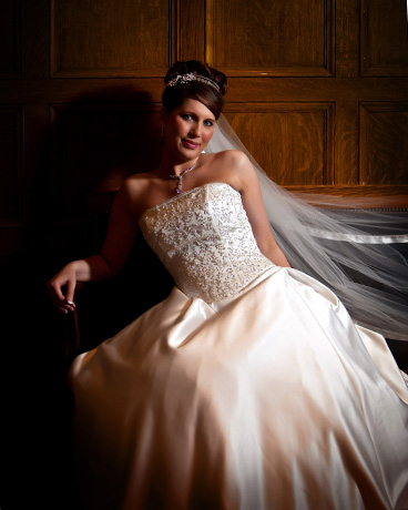 Arkansas state capital bridal photography